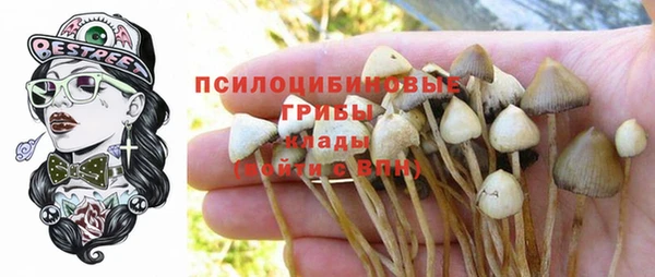 ALPHA-PVP Бородино