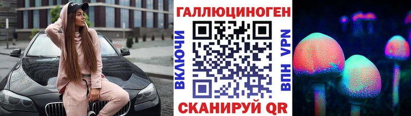 Псилоцибиновые грибы Psilocybe  Тольятти 